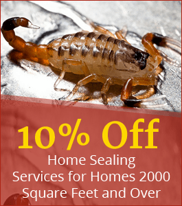 Flyer for Scorpion Pest Control in Arizona