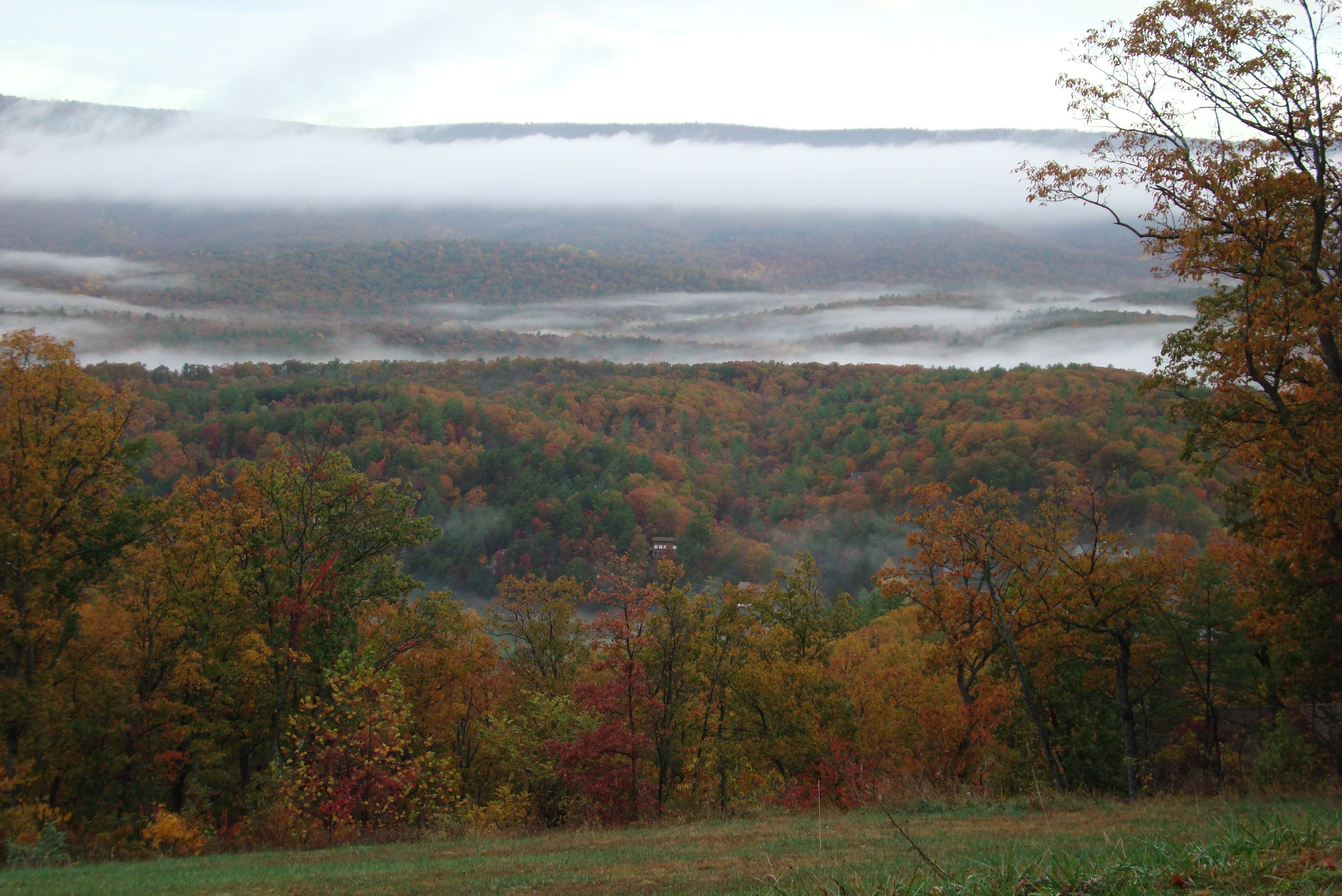View to the West in Autumn with early morning fog.  12.65 acres for sale in Shenandoah Valley, Va, Basye, Bryce Resort.