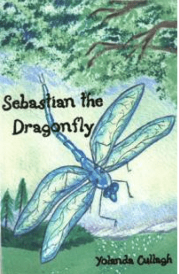 Imagine a dragonfly who wants nothing more than to make a friend; a dragonfly who wants to spend one perfect day flying with you!