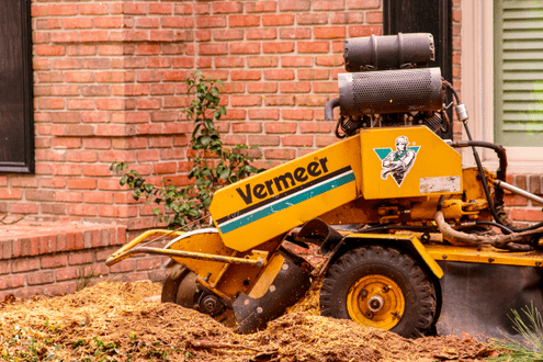 Vermeer Stump Grinder at work.