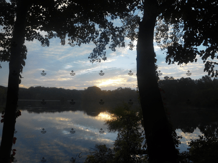 A photograph of the early morning sky over the pond by Jennifer Priester.