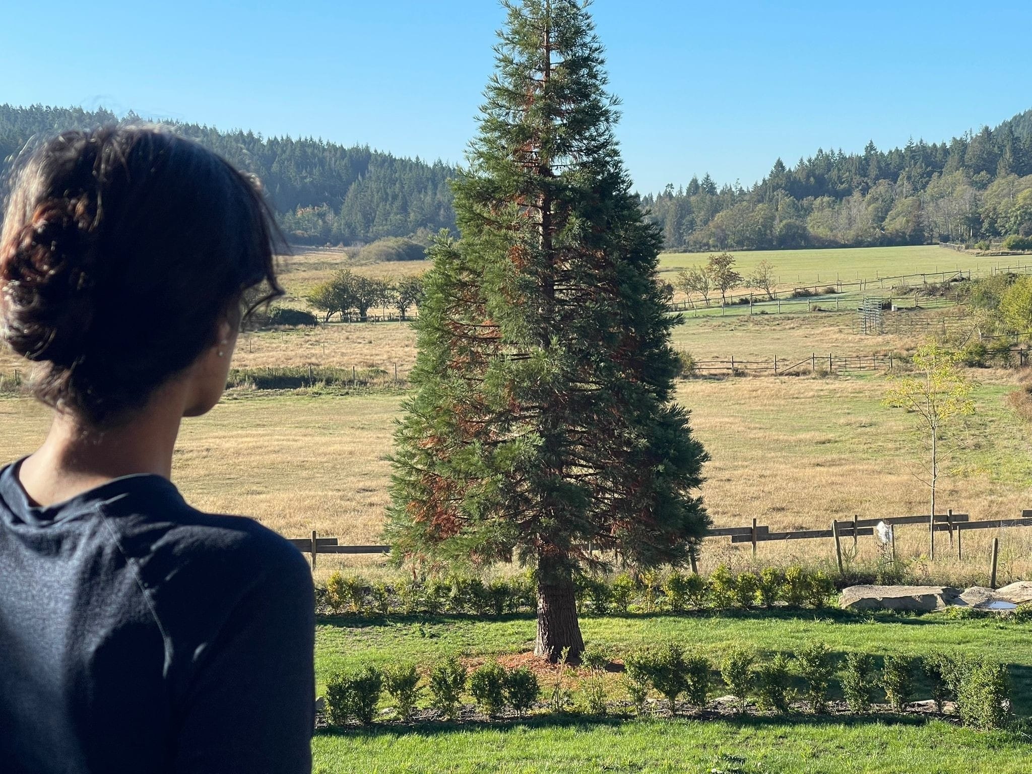 Tulip Joshi Looking at a Tree