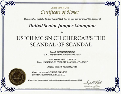 United Senior Jumper Chamption