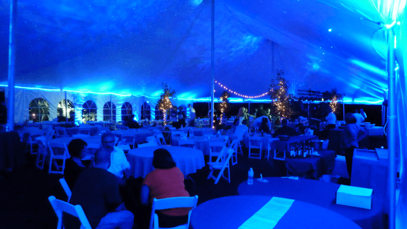 Tent wedding lighting. Up lighting in blue with stars and Northern Lights on the ceiling.