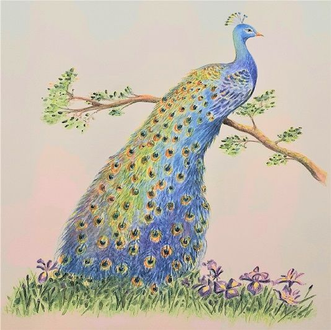 Animal Peacock and Irises DMM 8x12