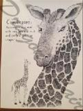 Medieval description of the Giraffe. Pen and ink 8 1/2x11.$10.