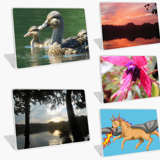 Laptop skins featuring art and photography by Jennifer Priester.