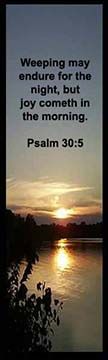 Bible Verse is from Psalm 30:5
