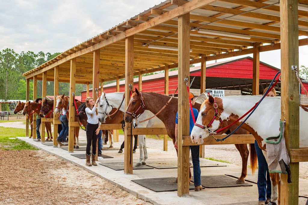 Six J & S Performance horses cross tied on the main concrete pad. Horses are accompanied by the YEDA team members.