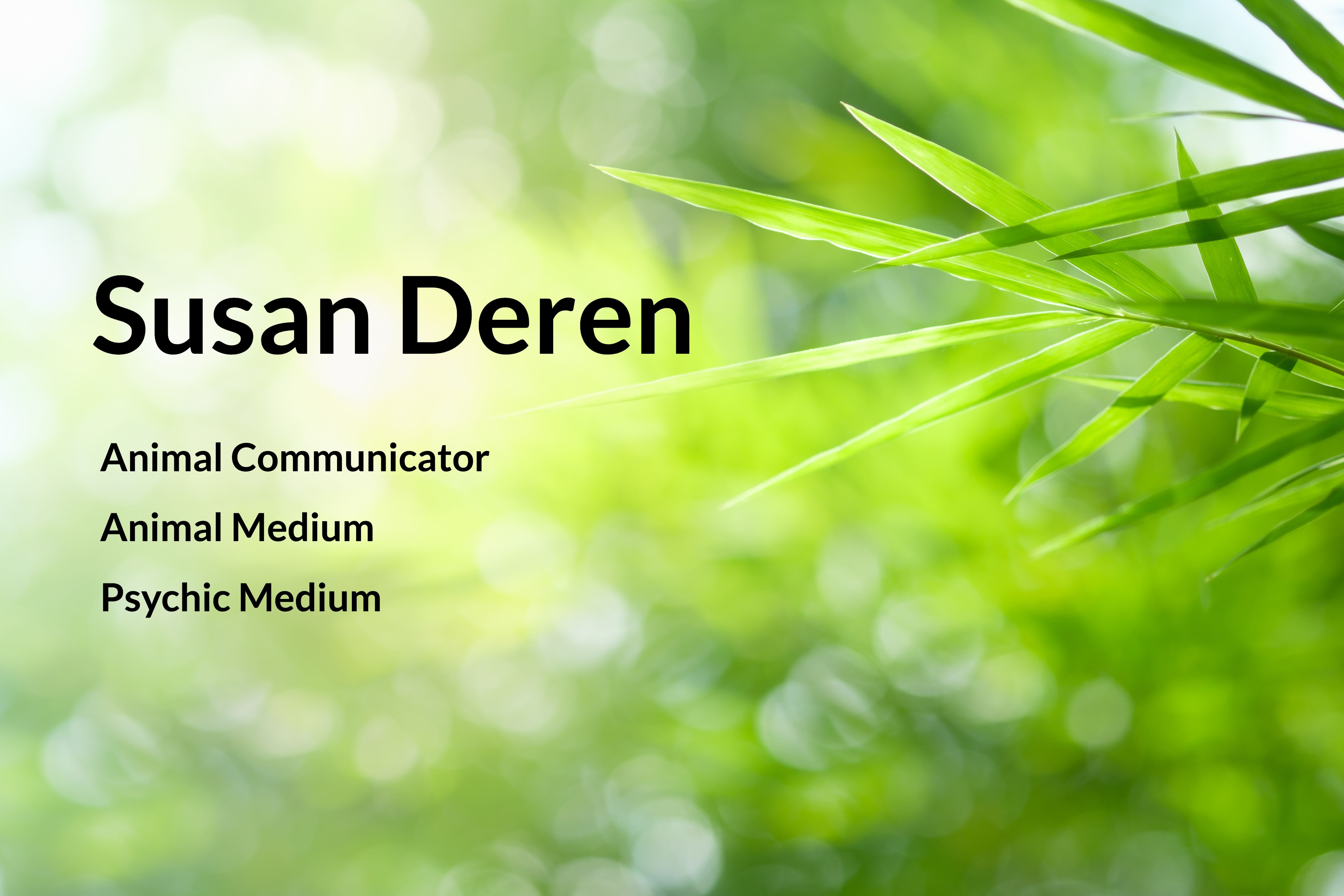 Susan Deren Animal Communicator Animal Medium Psychic Medium
