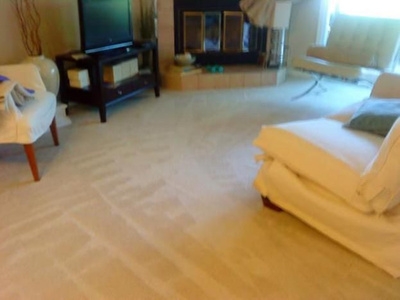 Mark Panozzo Carpet Cleaning & Painting