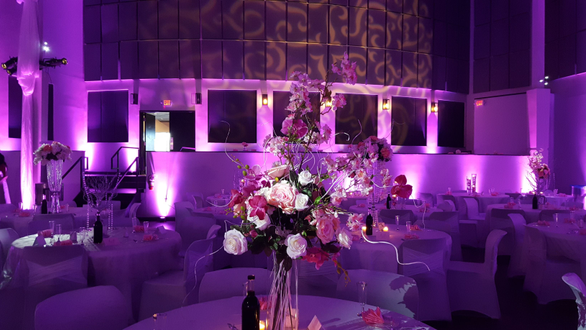 Wedding lighting at the Passion Event Center. Up lighting in magenta purple. Pin spots on flowers.