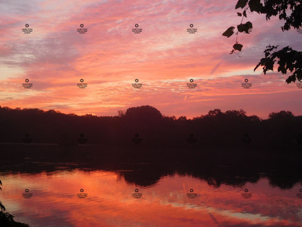 A photograph of an orange sunrise over the pond by Jennifer Priester.