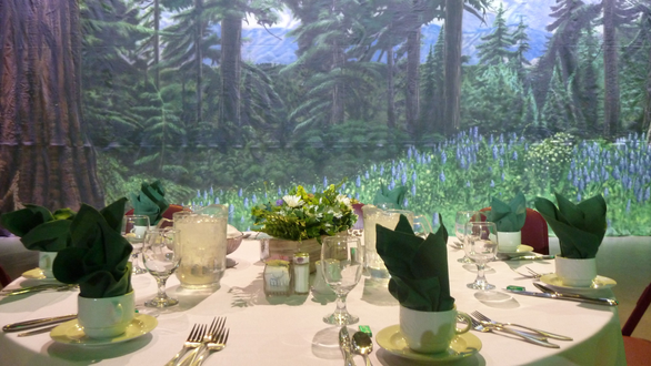 DECC, Pioneer Hall.
Summer themed business lunch with lit backdrops and decor provided by The Vault. Lighting by Duluth Event Lighting.