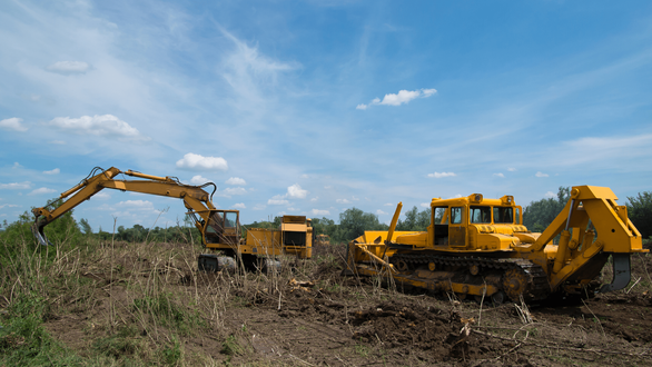 Tree services