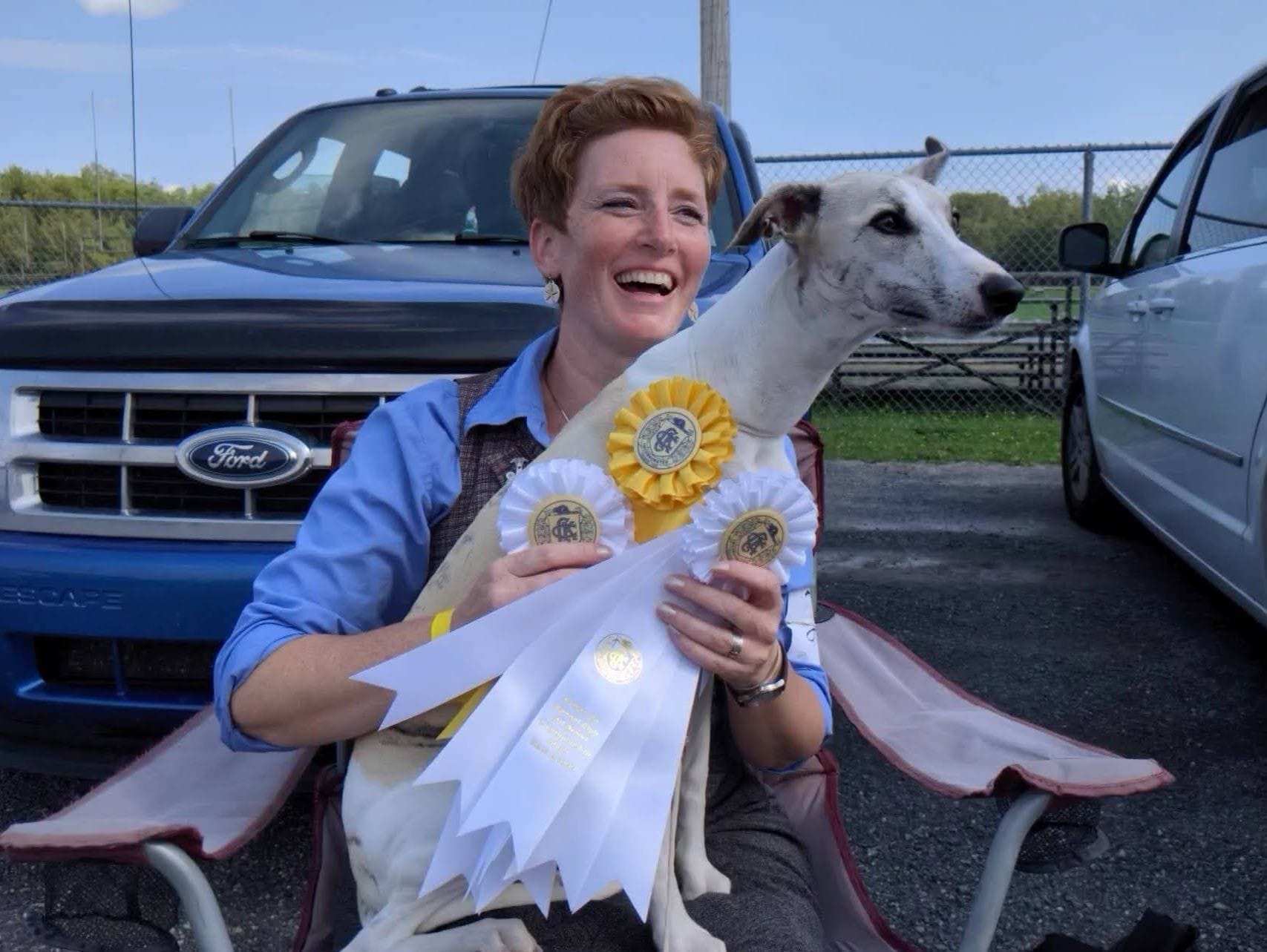 A whippet winning ribbons with a woman