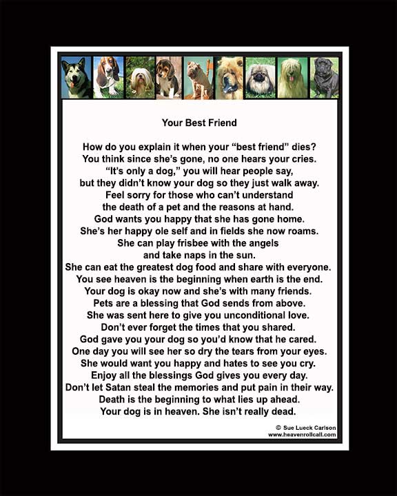 An uplifting poem offering comfort after your pet dies. 
