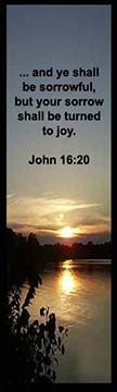 Bible Verse is from John 16:20