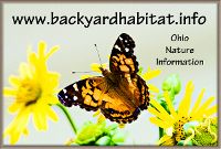 A logo with a butterfly on it that says www.backyardhabitat.info