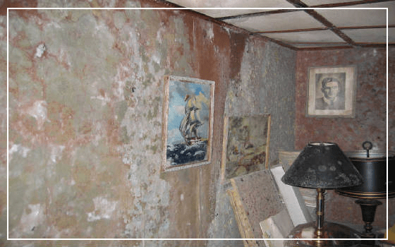 Mold Damage To The Interior Of A Home