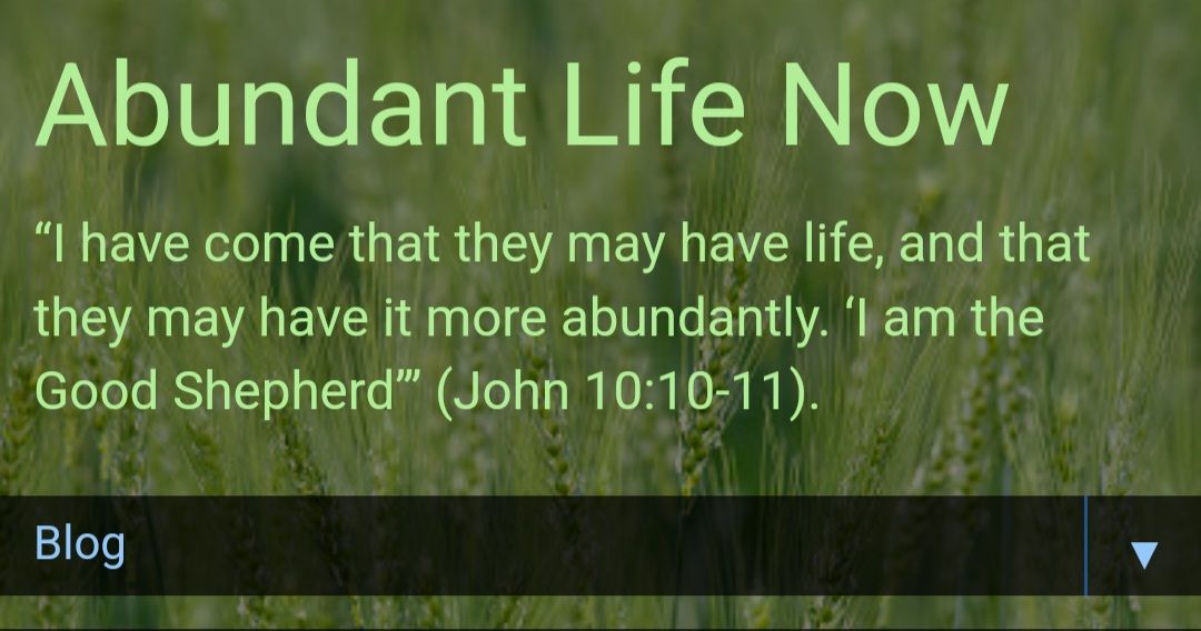 Abundant life Now blog heading