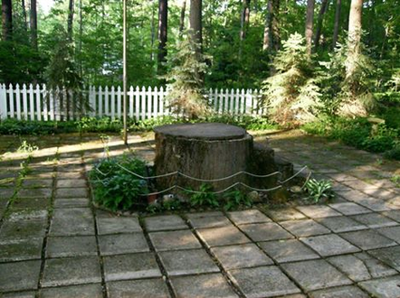 The "Stump" at Lily Dale, NY, where outdoor message services are held during the summer
