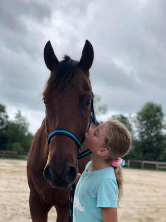 A young camp student kisses the cheek of a large bay horse wearing a black and blue halter in the main arena.