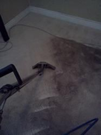 Mark Panozzo Carpet Cleaning & Painting