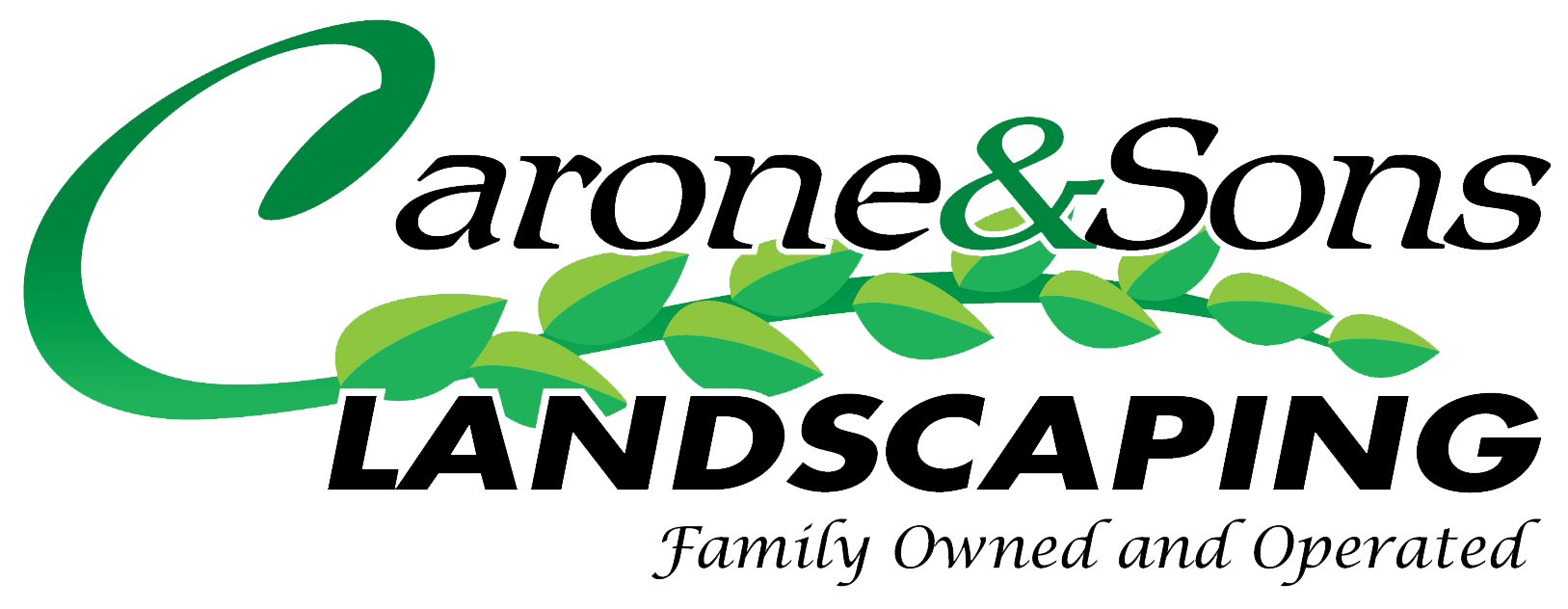 Carone & Sons Landscaping