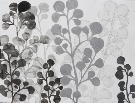 22" x 30"  black, white, silver and grey botanical monoprint