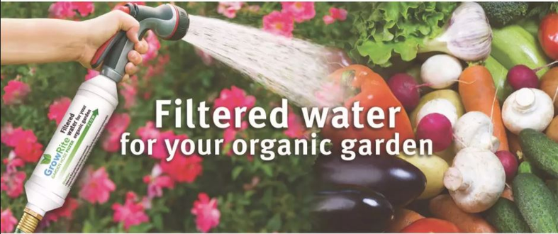 Garden hose water filter