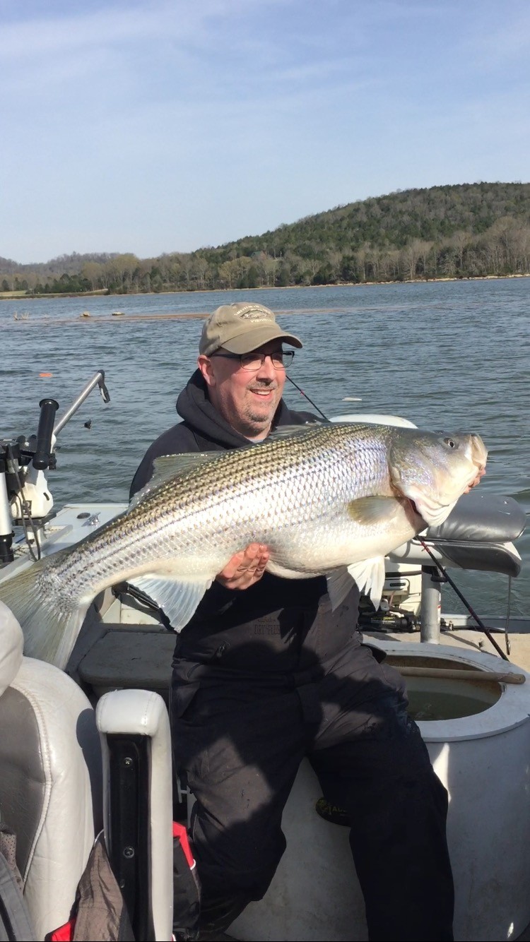 NASHVILLE FISHING CHARTERS AND FISHING GUIDE SERVICES