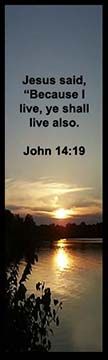 Bible verse John 14:19 reassures us that we will live because Jesus does.