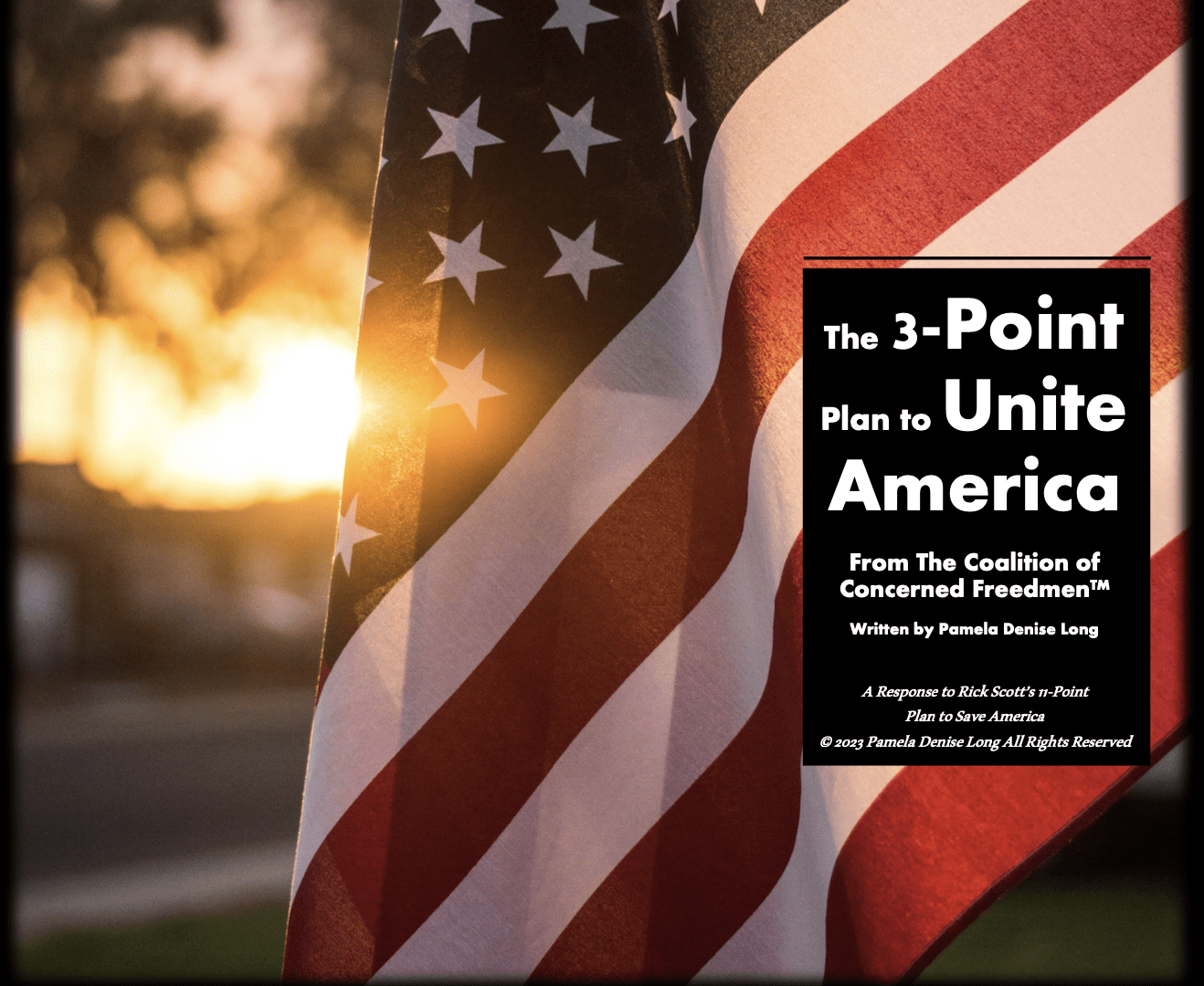 The 3-Point Plan to Unite America is a call for elected officials to act with speed, precision, and courage to save our country.
