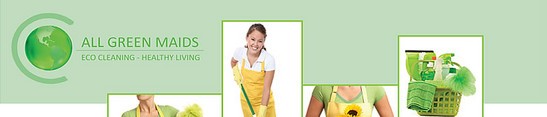 Plant based cleaning products, non-toxic cleaning products, wholesale green cleaning