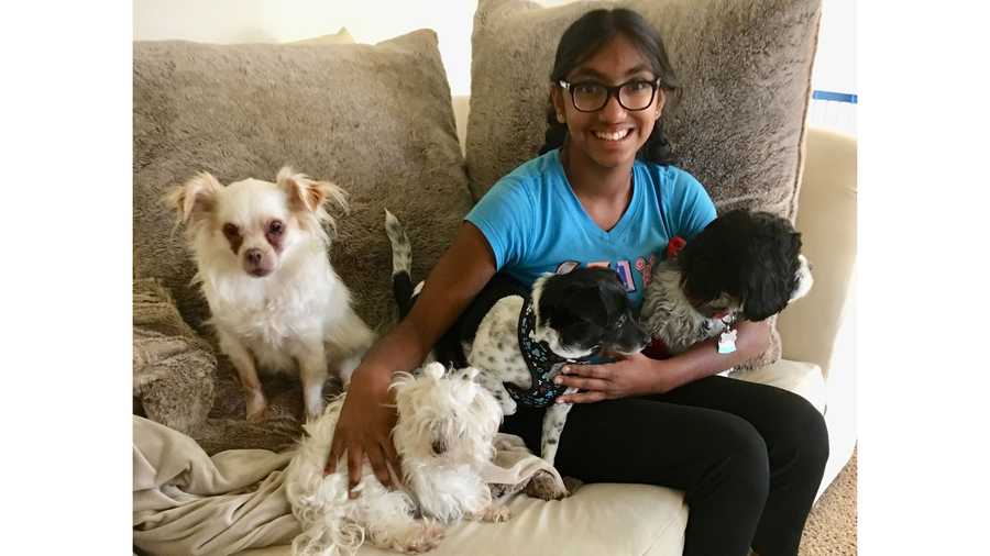 An adopted 14-year-old girl is helping senior dogs find a forever home just like she did