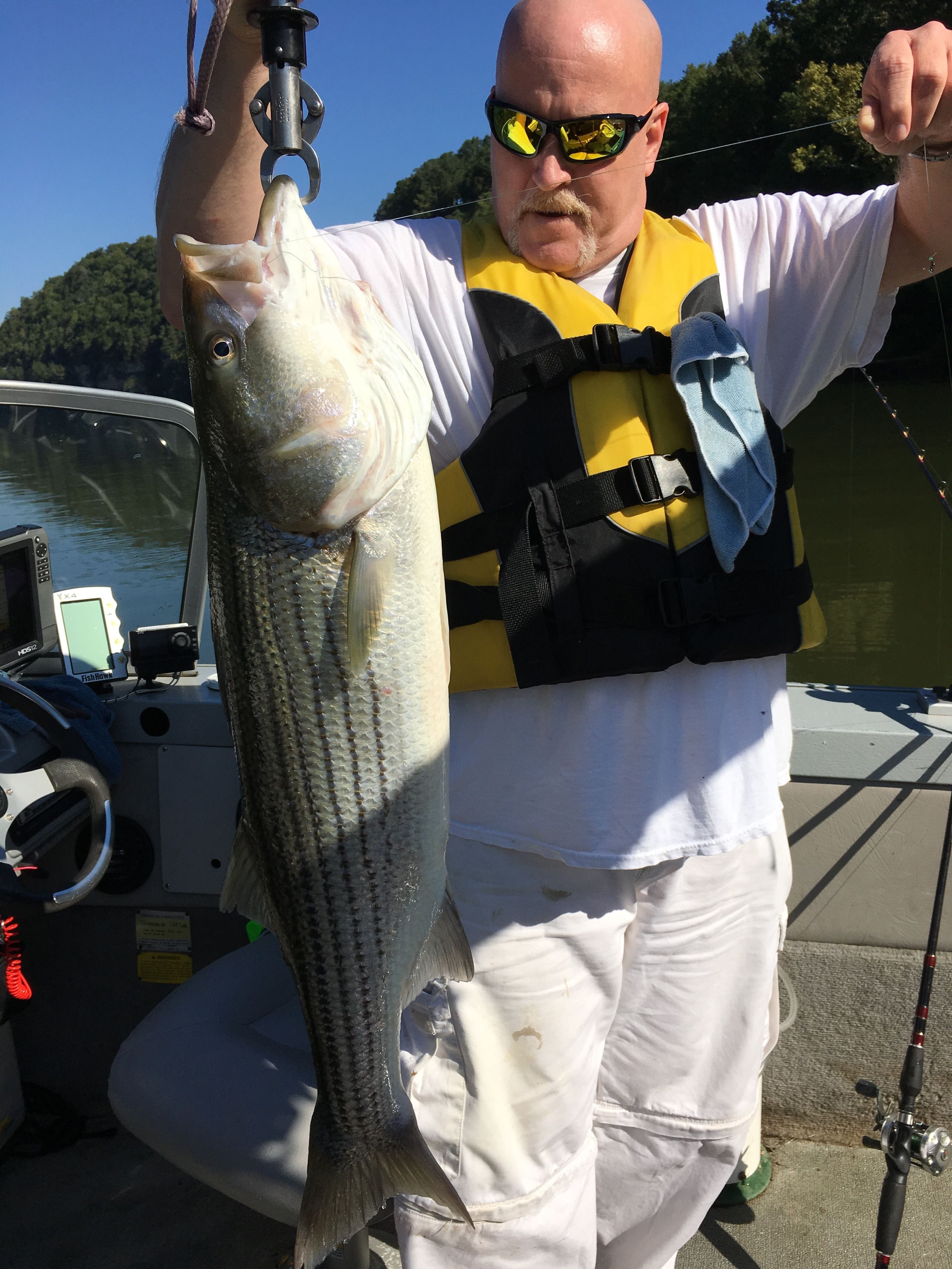 Nashville Fishing charters and Fishing Guide Services