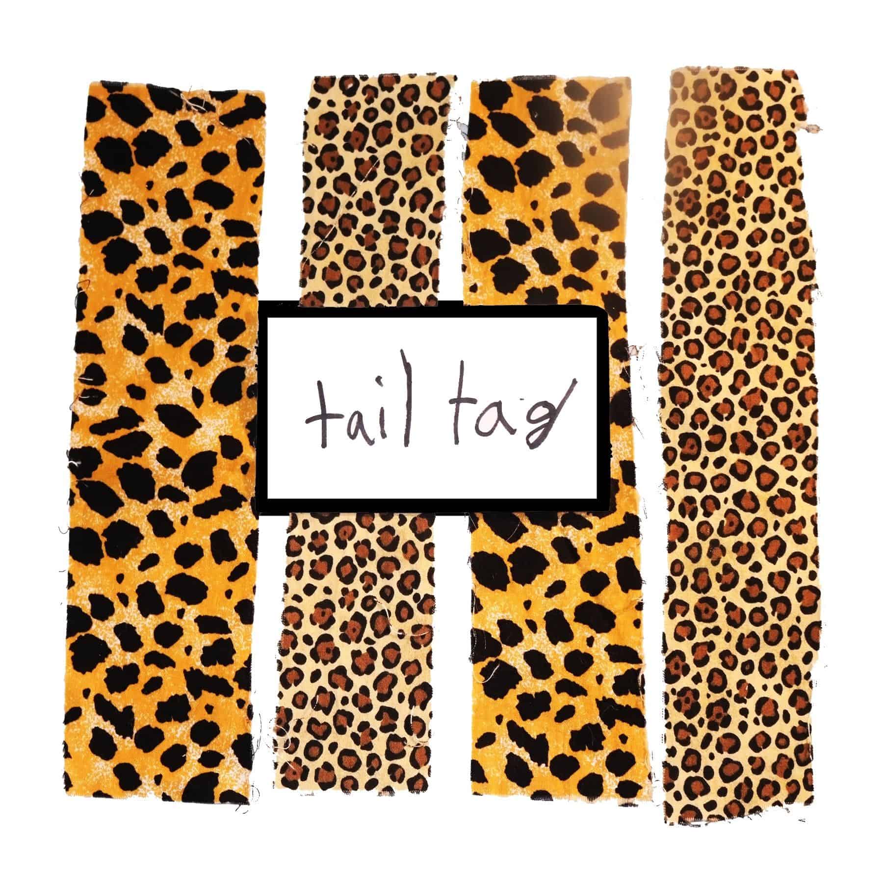 Make tails our of fabric strips and get the game started! A fun outdoor activity for everyone.