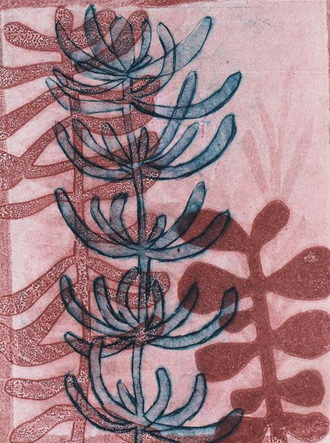 Botanical monoprint using drypoint, stencil and collagraph techniques in pink and blue