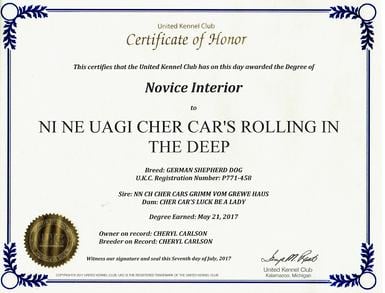 Raleigh novice exterior nosework title certificate