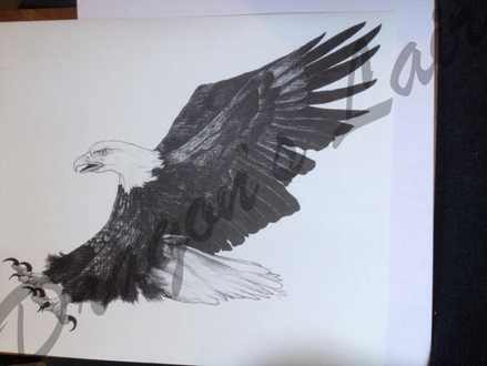 Pencil drawing of landing Eagle. 14x 16 1/2 $20.
