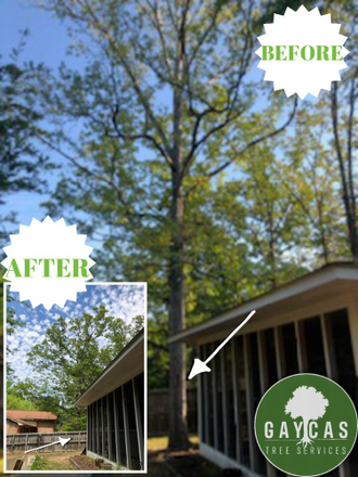 tree removal columbia