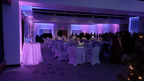Pier B wedding lighting in a two tone lavender with pin spots on flowers. decor by @thevaultduluth