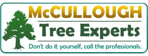 McCULLOUGH Tree Experts LLC