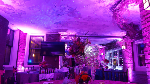 Wedding lightingat Glensheen's Winter Garden. Up lighting in magenta pink with stars on the ceiling.