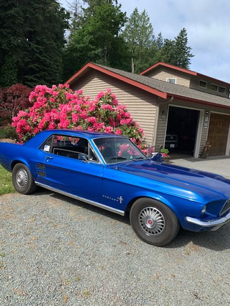October 2022 Car of the month,  Dennis & Tisha Wischmeier - 1967 Mustang