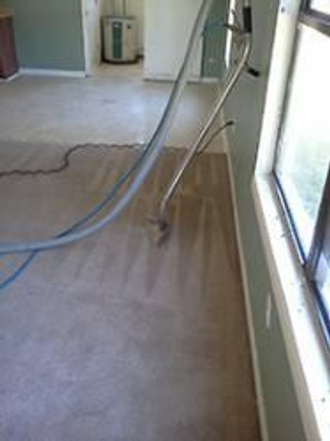 Mark Panozzo Carpet Cleaning & Painting