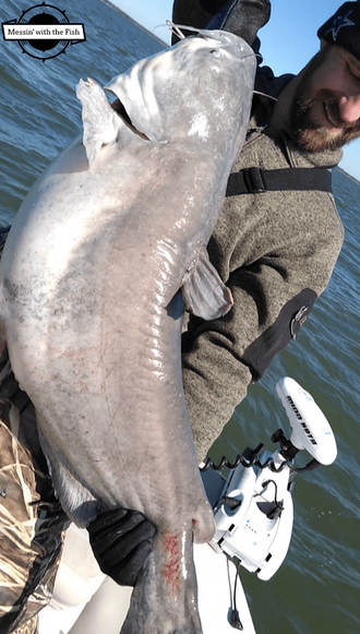 Fishing pictures caught with Guide Keith Parks lake Tawakoni Texas