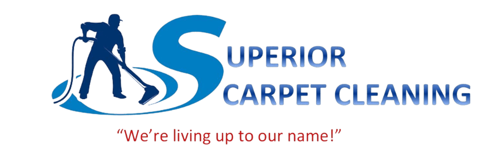 Thorough Carpet Cleaning in Jacksonville, NC