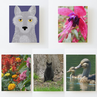 Mounted prints featuring art and photography by Jennifer Priester.